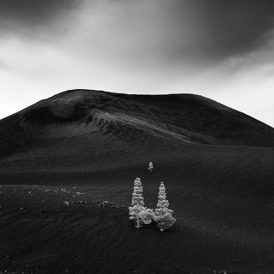 Ancients guardians.