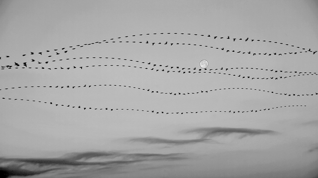 Flight writing
