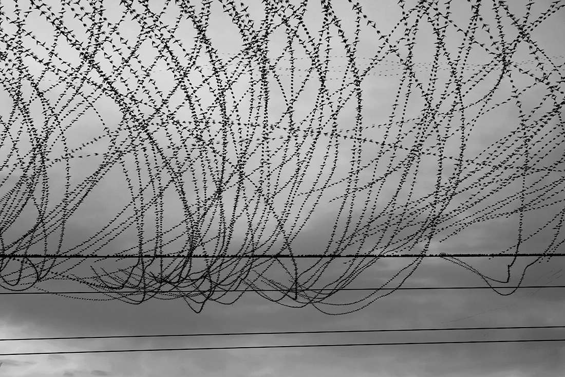 Flight writing