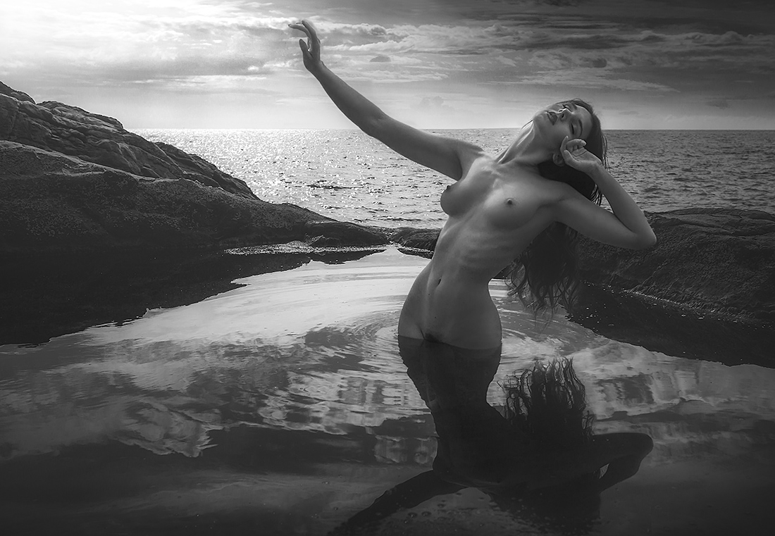Venus rebirth