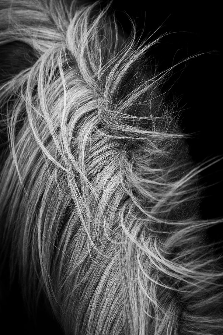 Facets