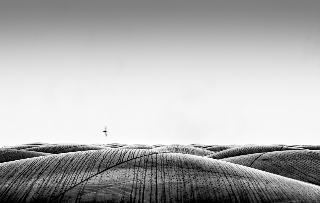 Urban landscapes