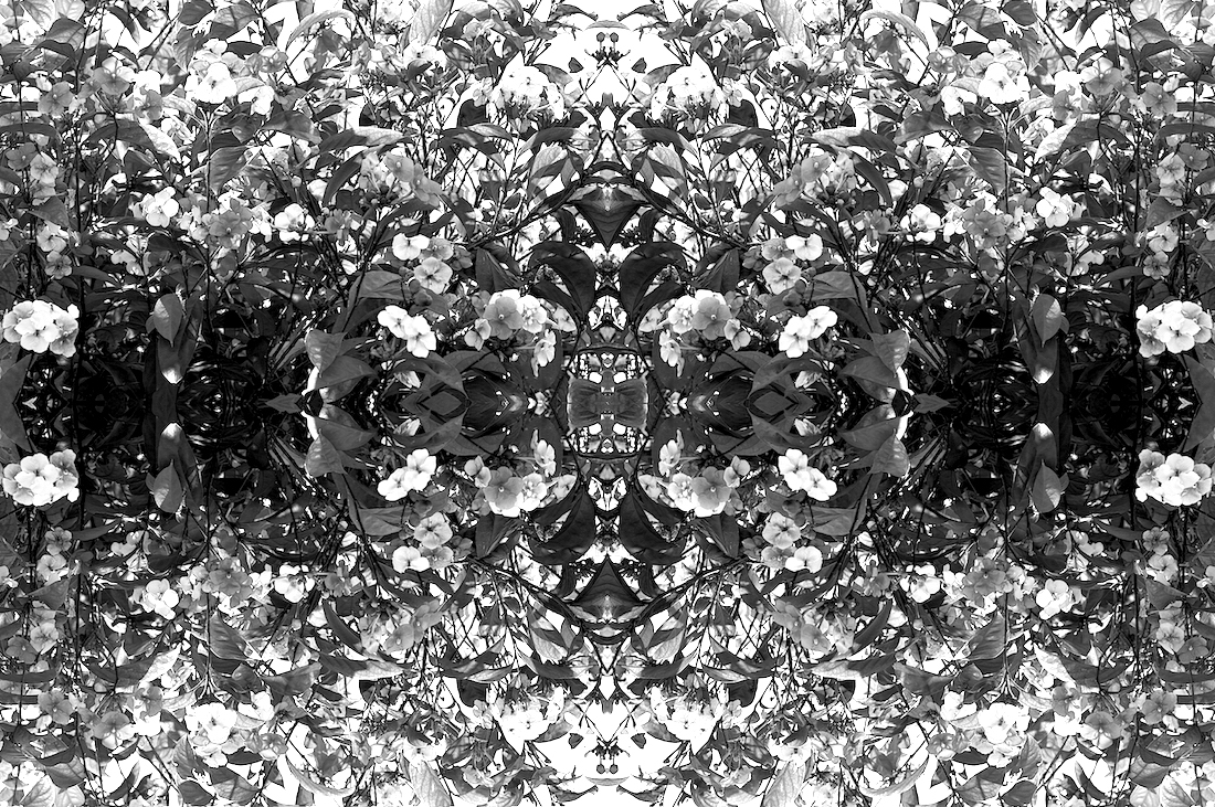Monochrome Botaniscopes