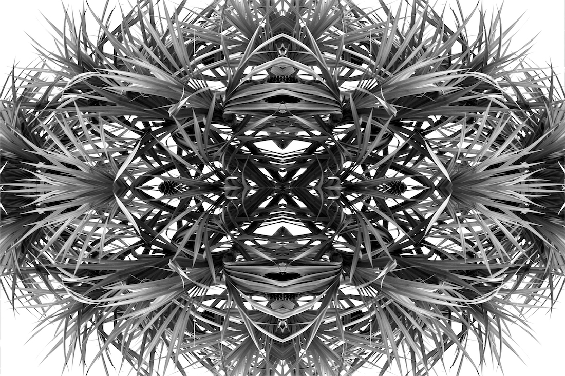 Monochrome Botaniscopes
