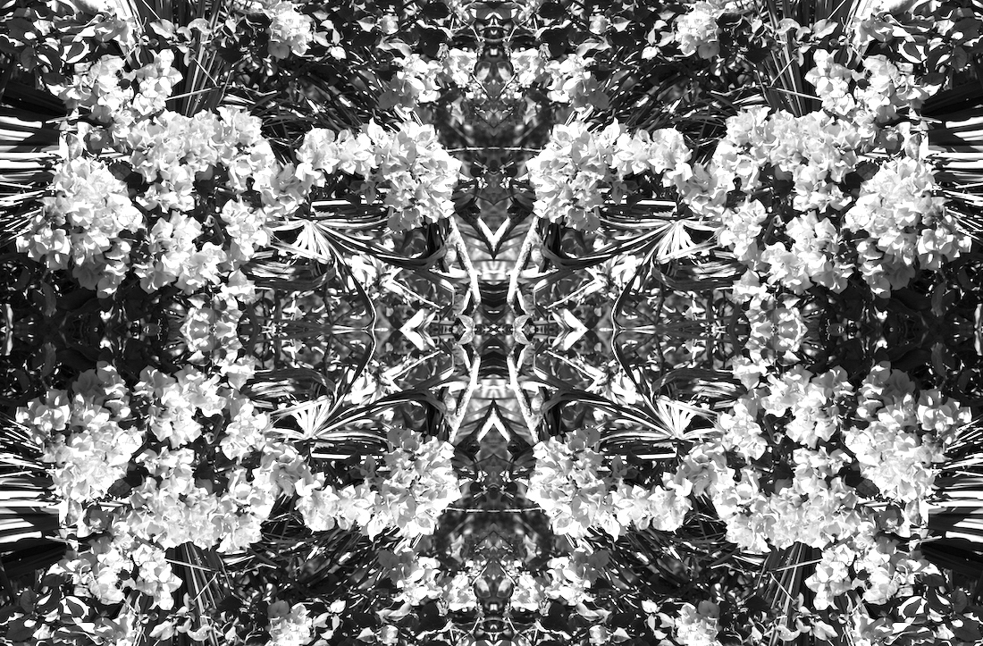 Monochrome Botaniscopes