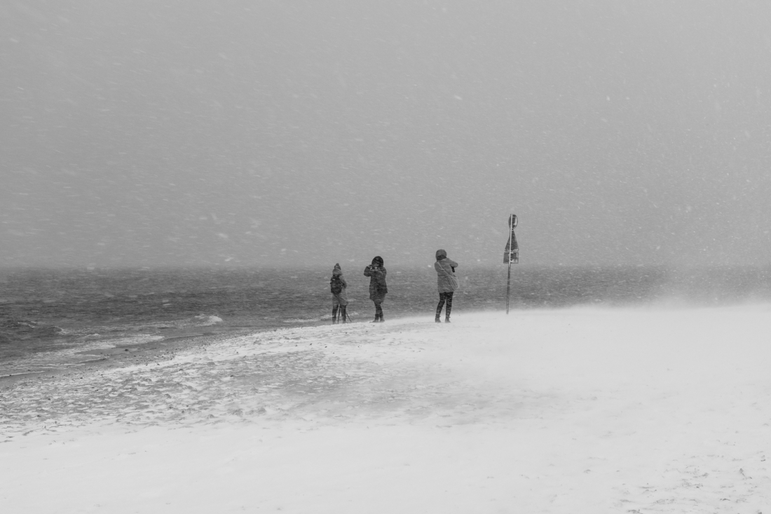 Winter walk