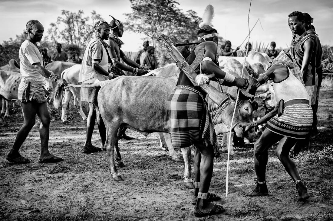 BULL JUMPING CEREMONY