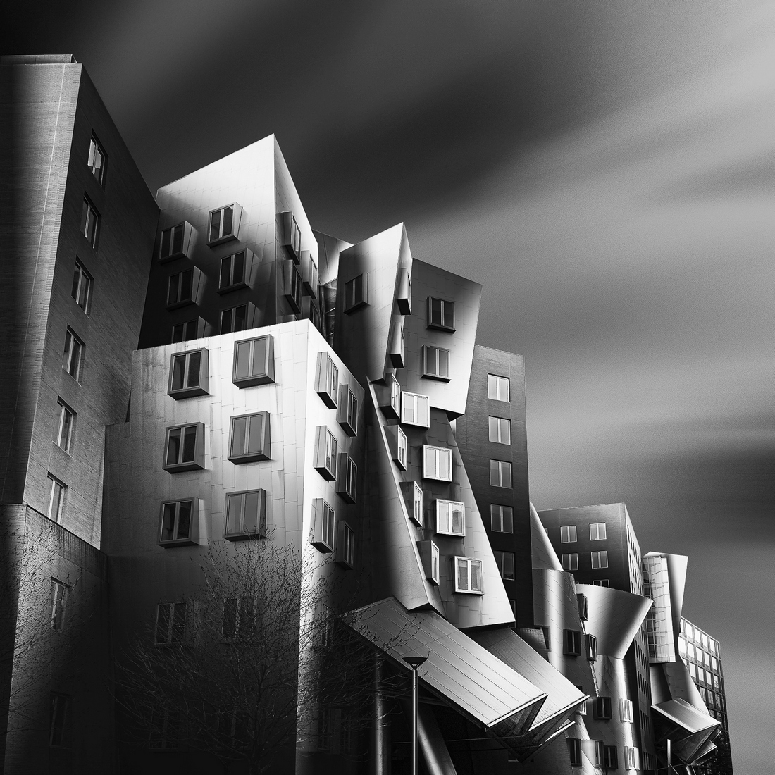 Lines, Curves, & Surfaces