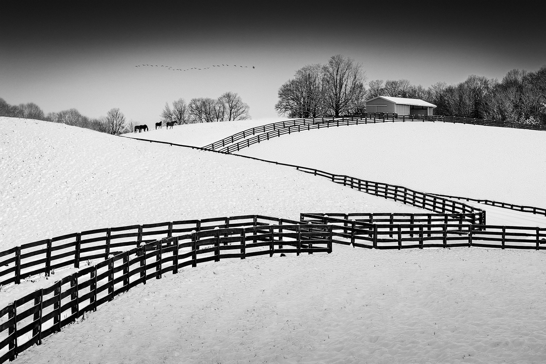 Horse Farms