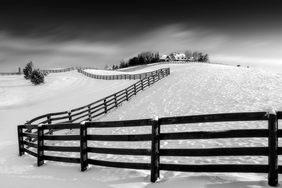 Horse Farms