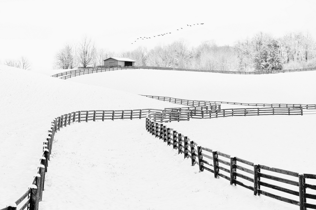 Horse Farms