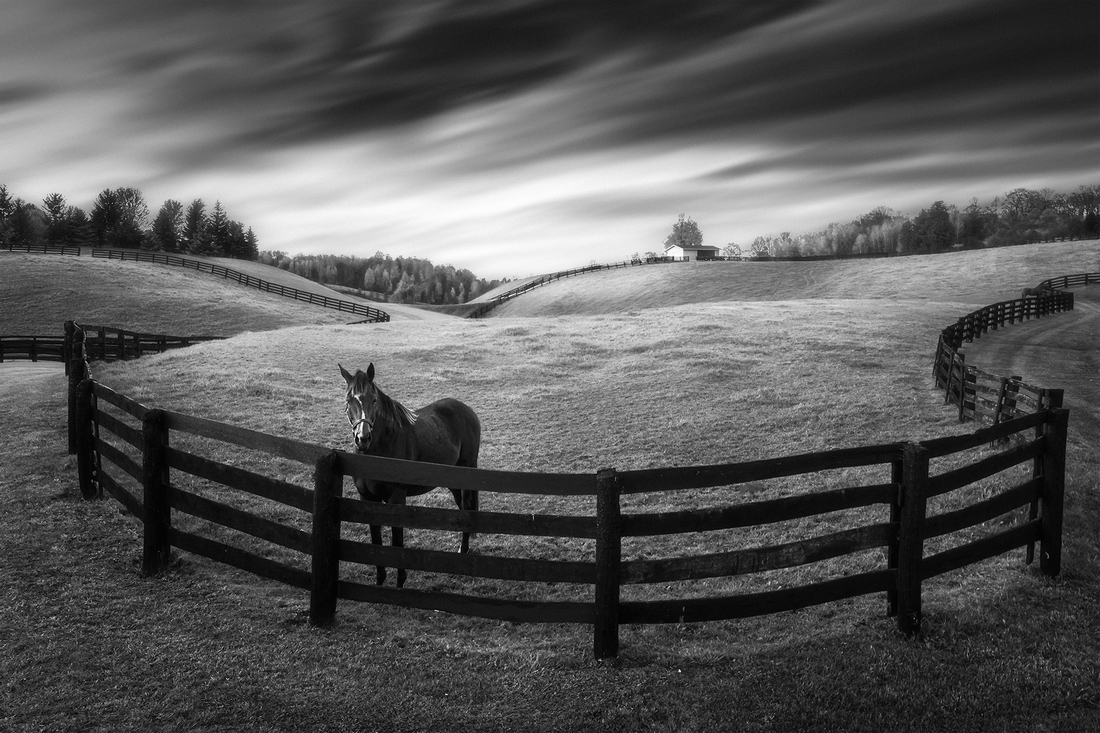 Horse Farms
