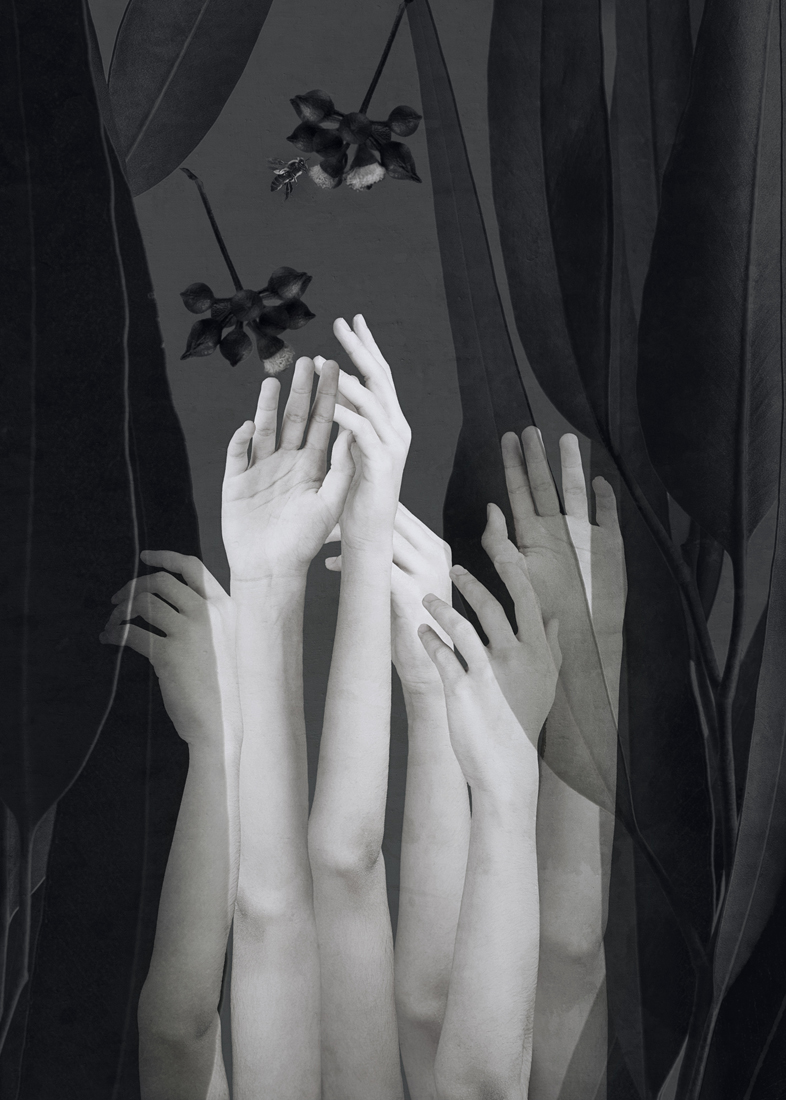 Hindering Narcissus