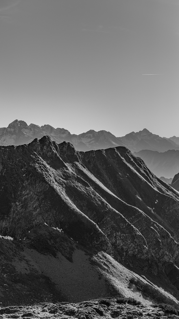 alpin.