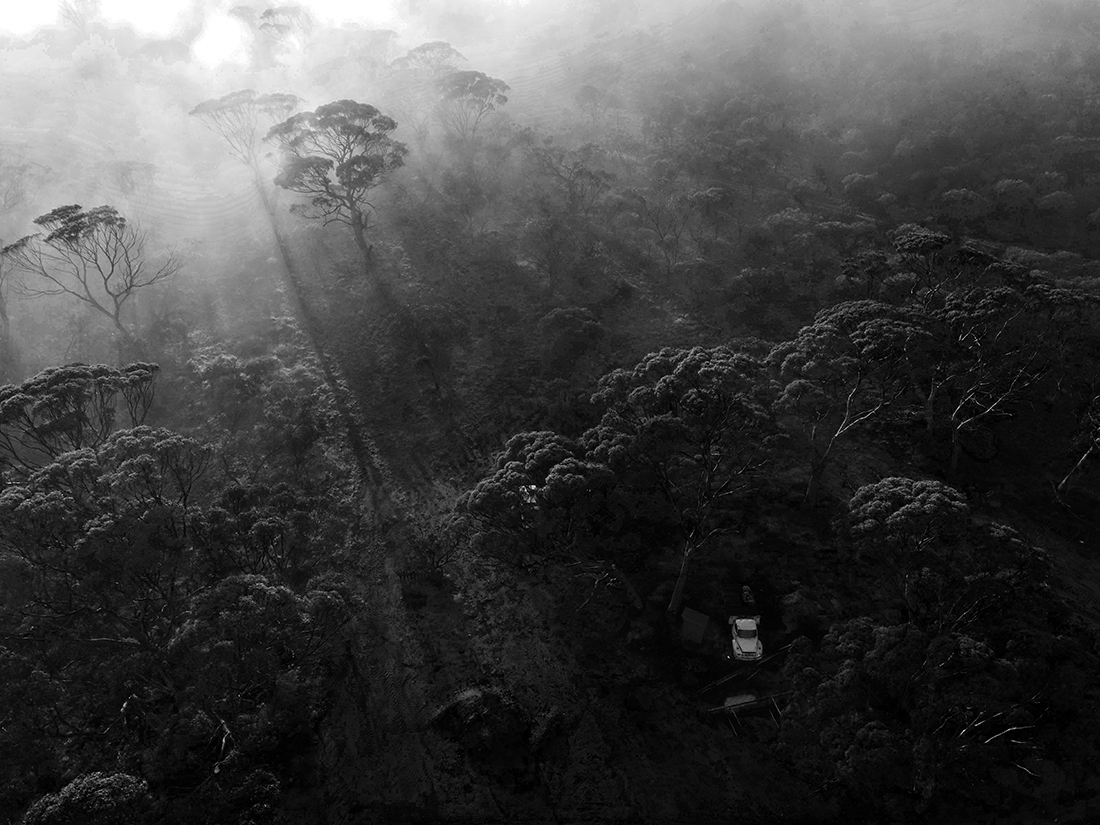 Misty Morning