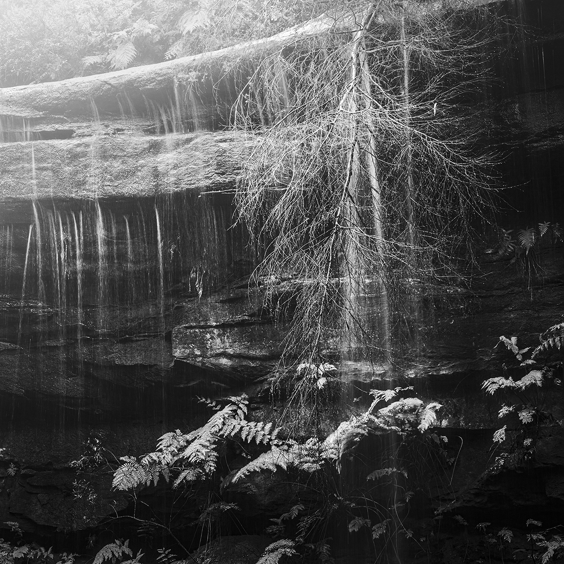 Ebb and Flow