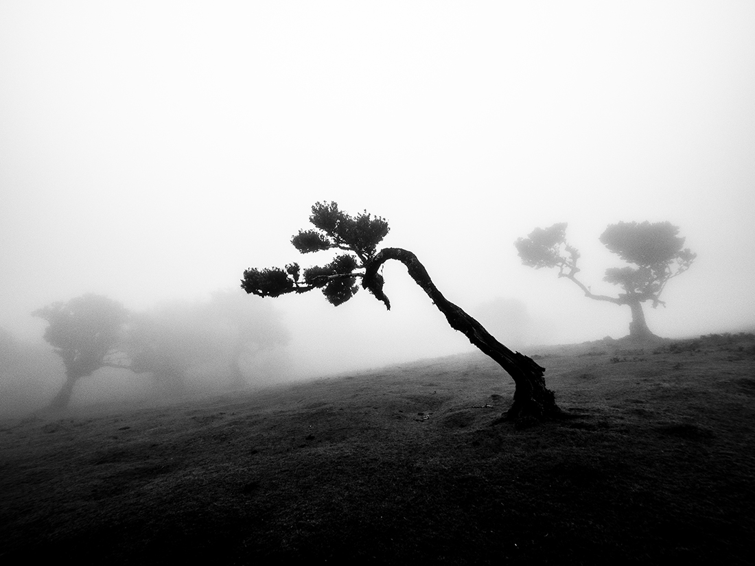 The Shape of Harsh Winds