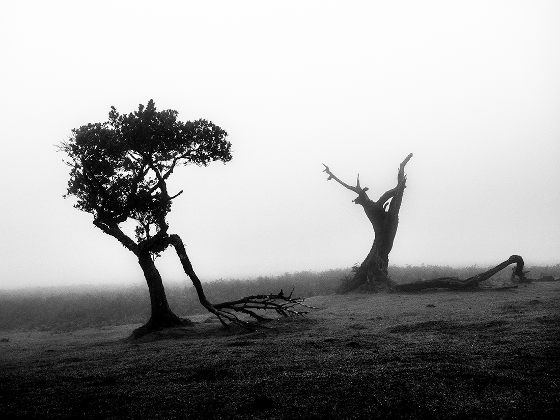 The Shape of Harsh Winds