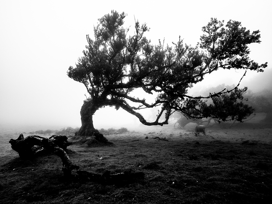 The Shape of Harsh Winds