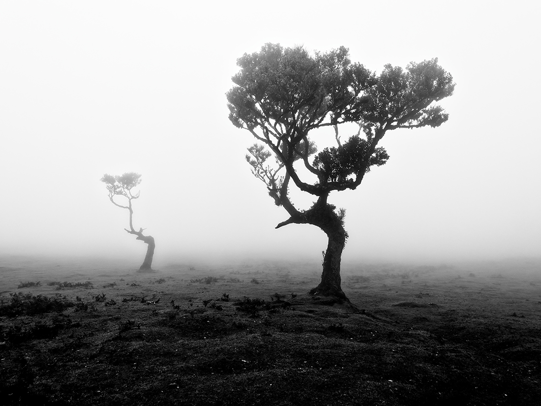 The Shape of Harsh Winds