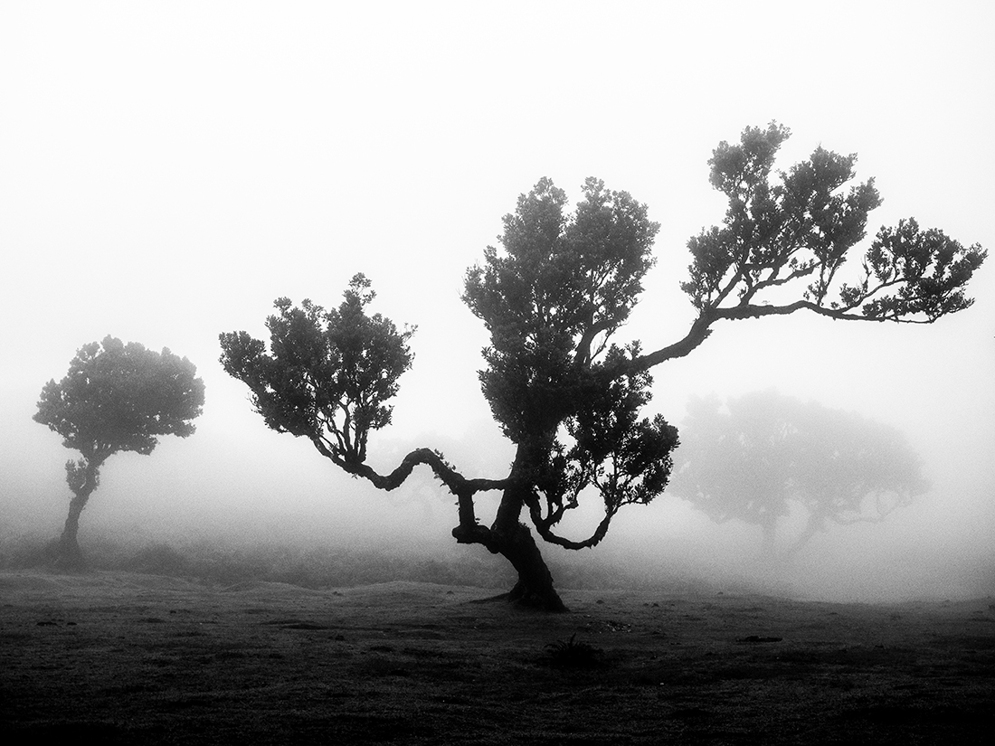 The Shape of Harsh Winds