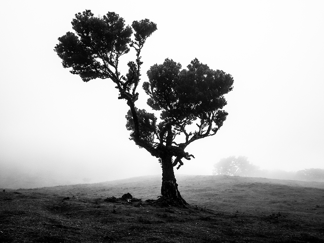 The Shape of Harsh Winds