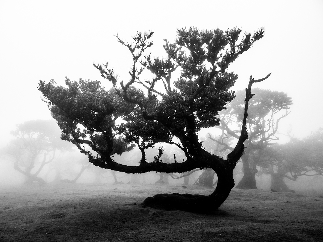 The Shape of Harsh Winds