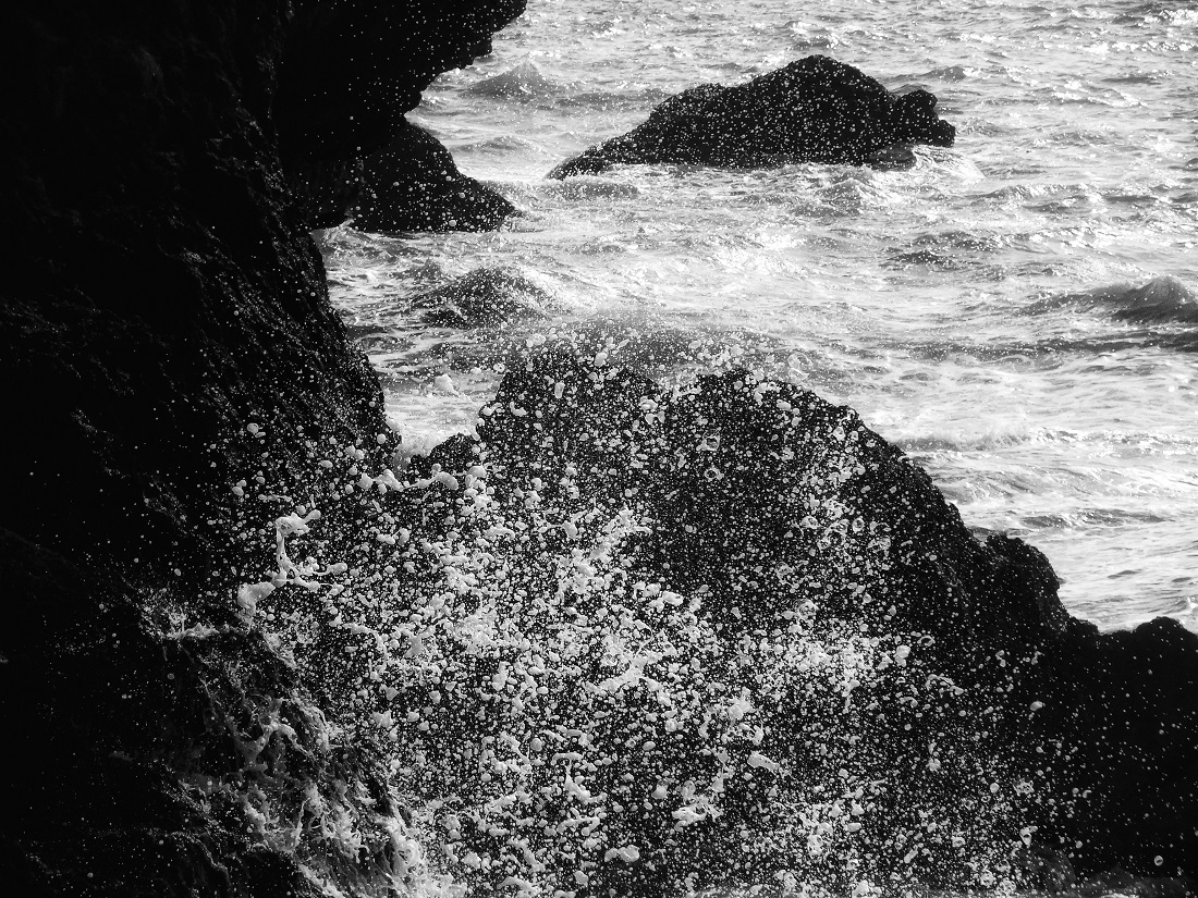 Sea Spray 