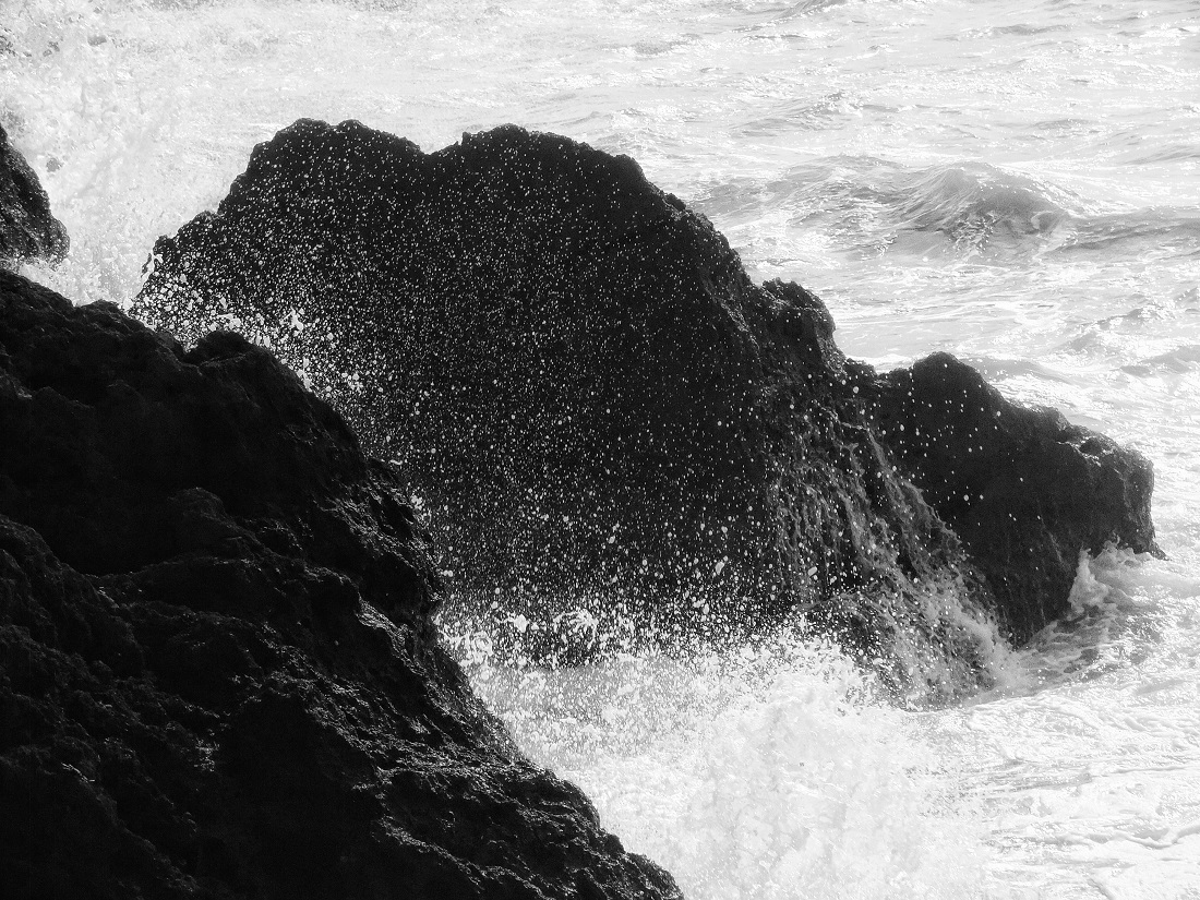 Sea Spray 