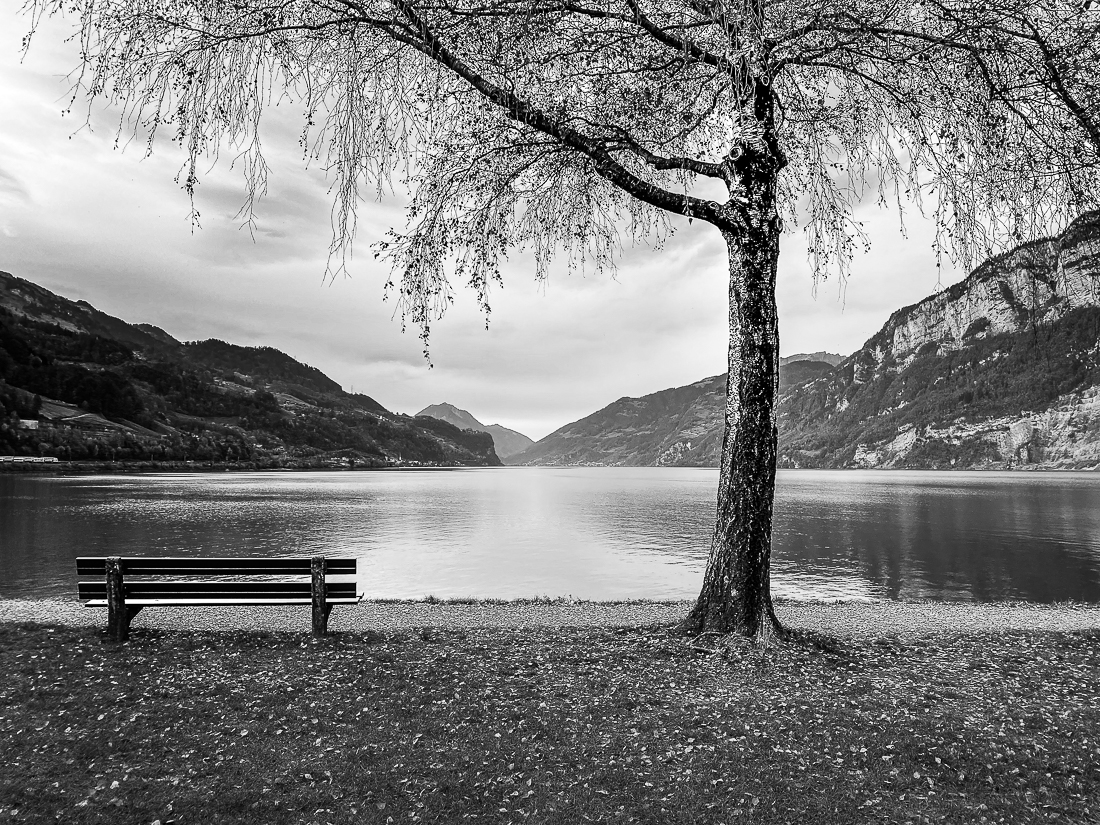 The Last Bench