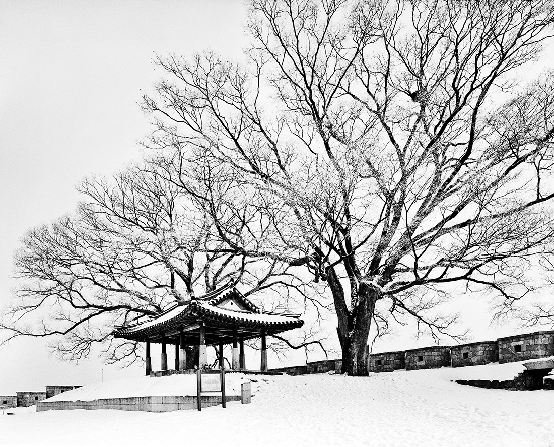 누정樓亭 Korean Pavilions 