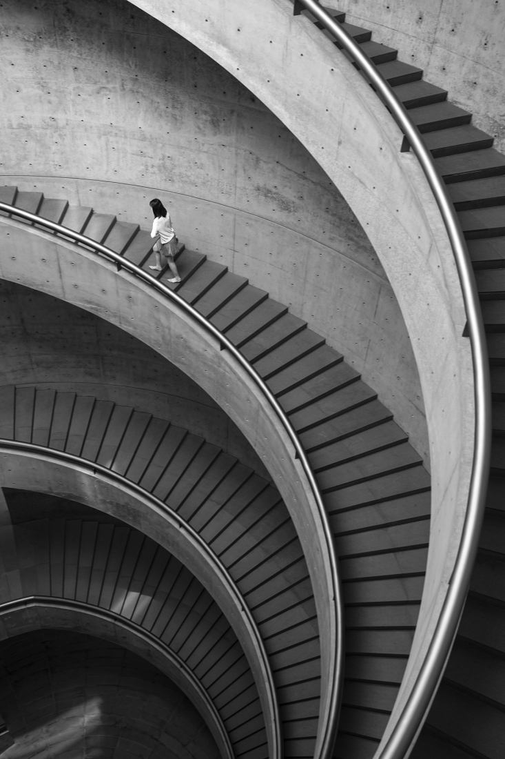 HE ART MUSEUM