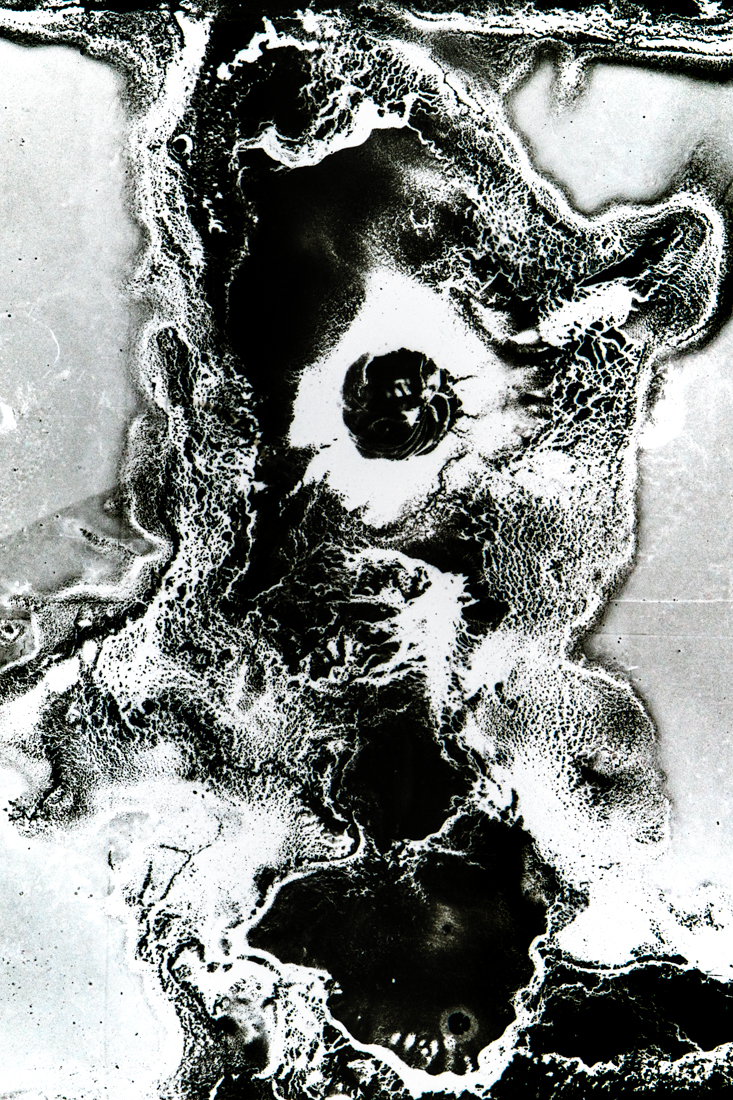 Parasite