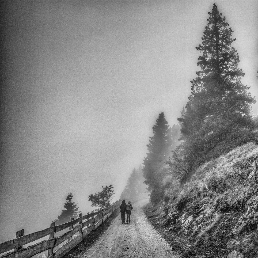 Paths