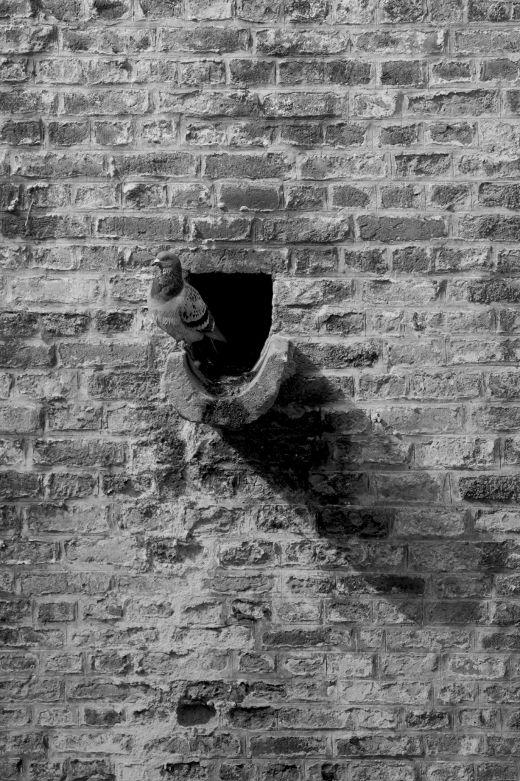 Bruges in B&W