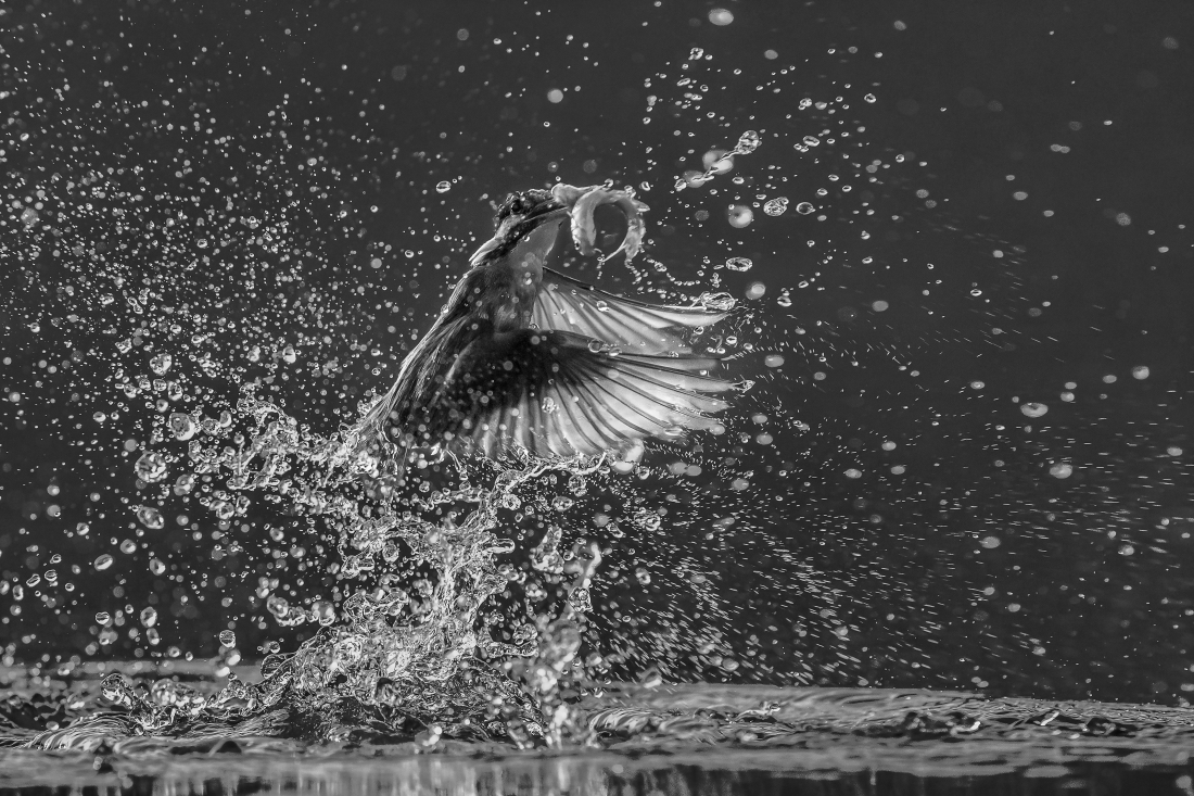 Dancer