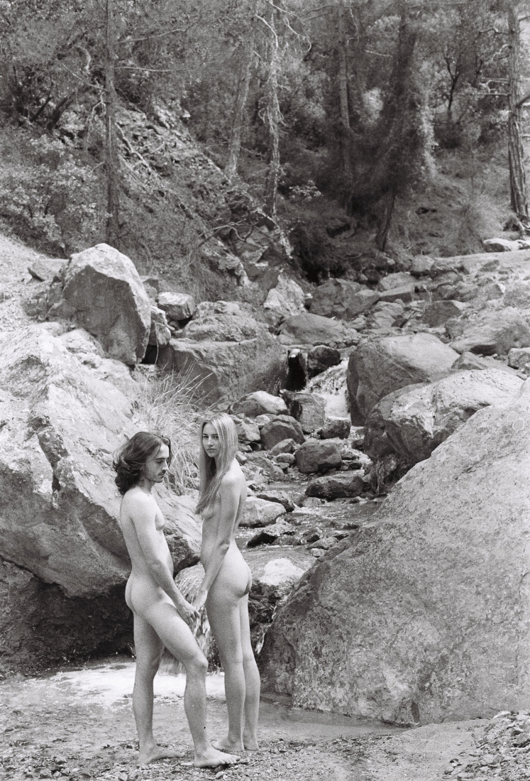Notes on loving and pine trees 