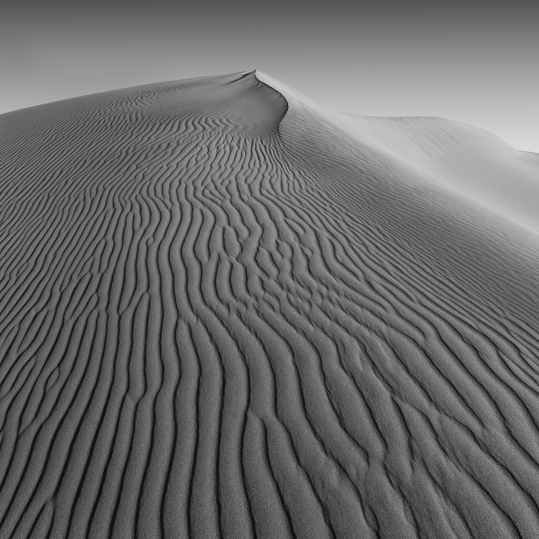 SHADOWLANDS