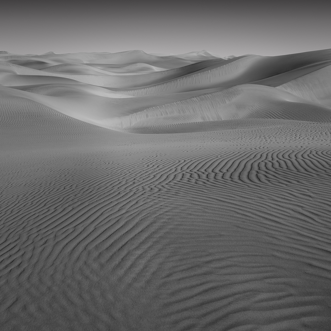 SHADOWLANDS