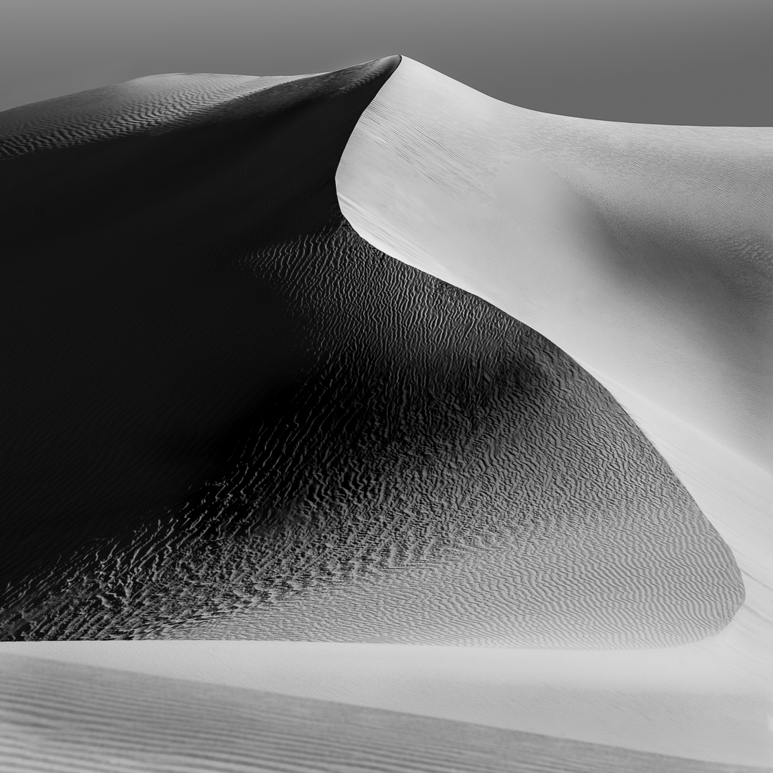 SHADOWLANDS