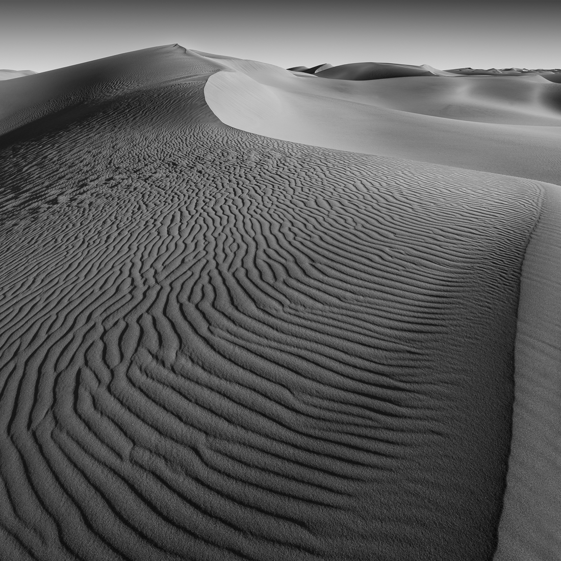 SHADOWLANDS