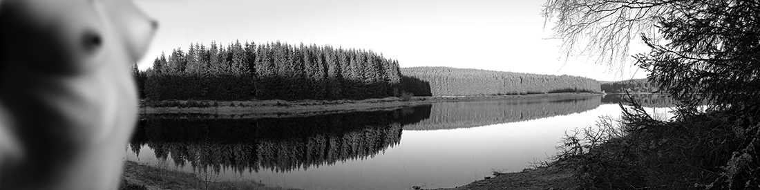 Spaces variable modesty (espaces à modestie variable)