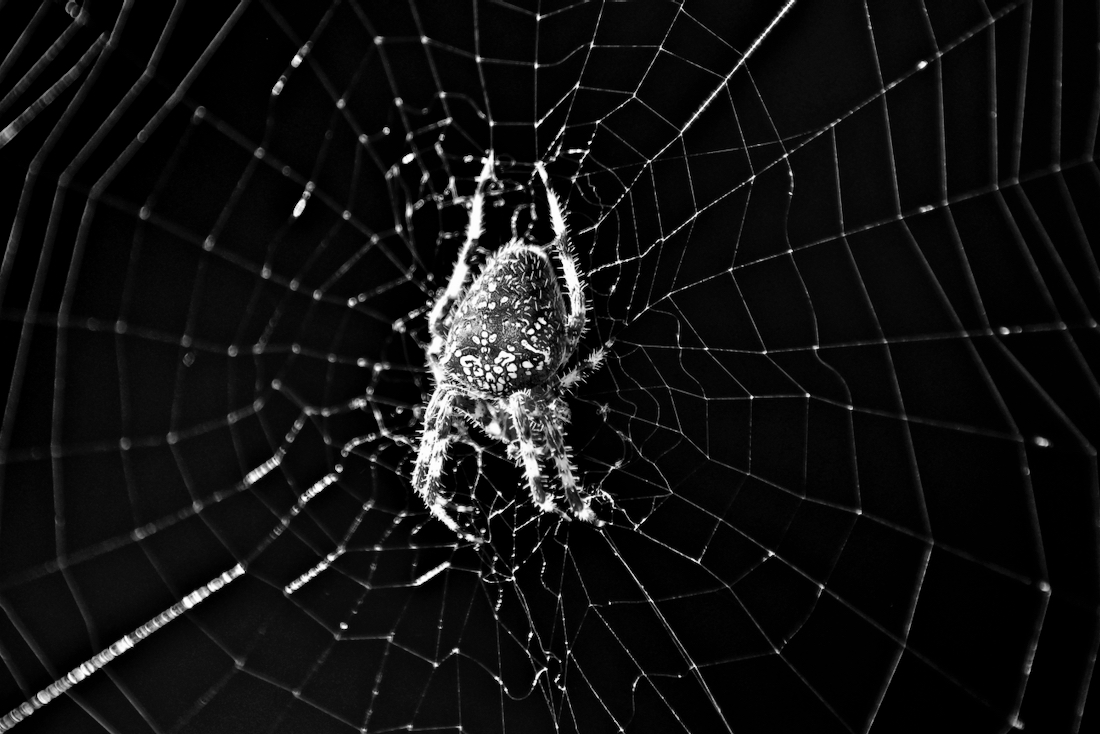 Arachne