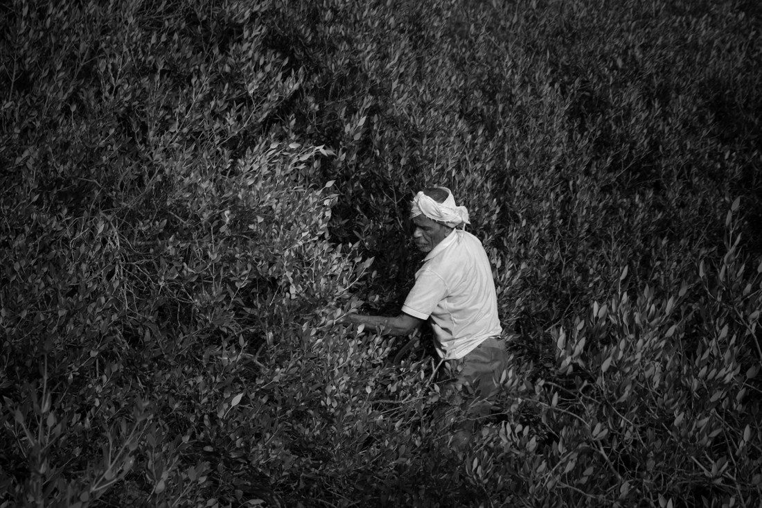 In the embrace of nature