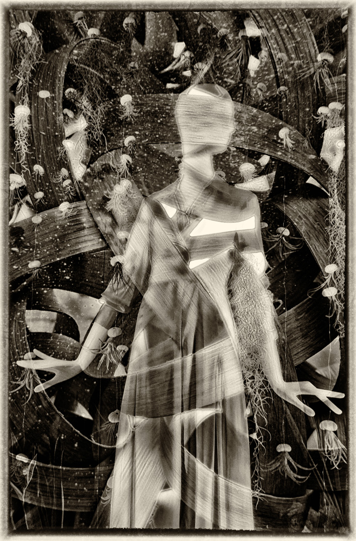 ' When you do dance, I wish you a wave o' the sea '   Shakespeare  - The Winter's Tale  Act 4, Scene 3