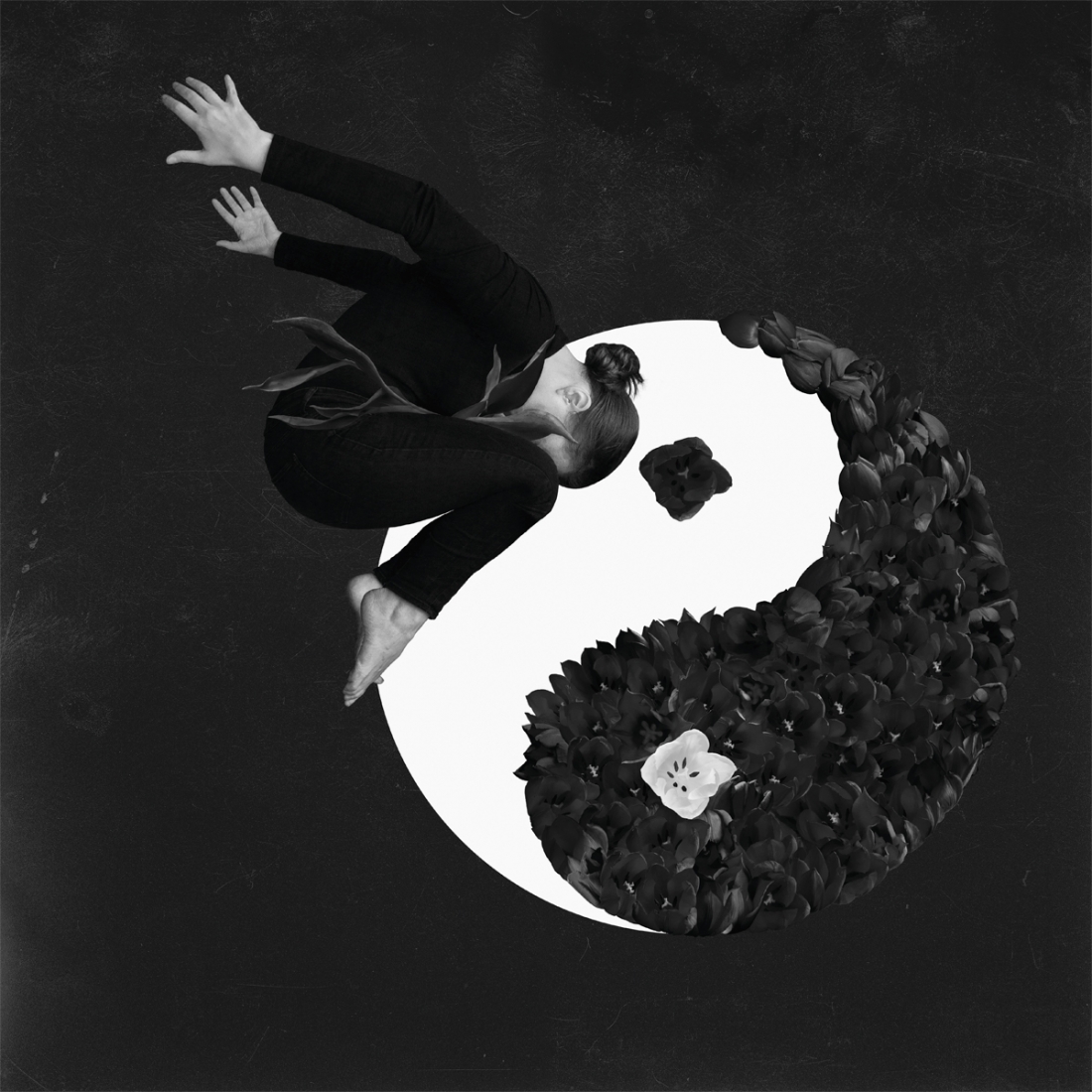 YIN & YANG