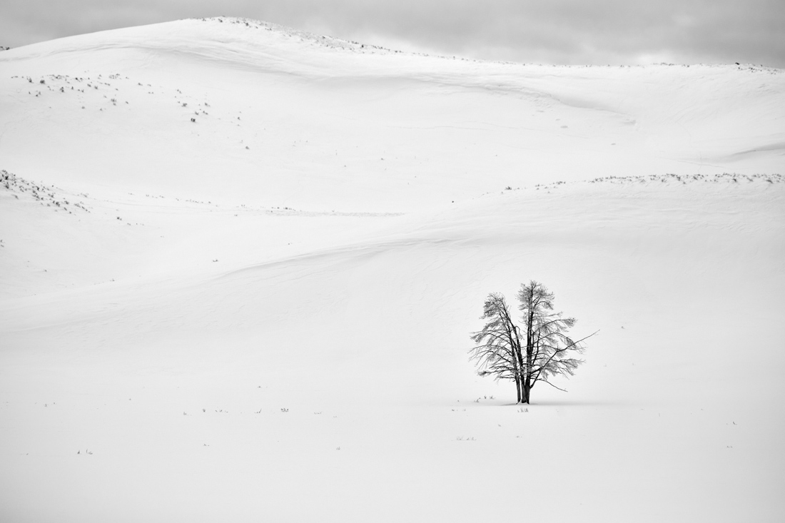 Solitude