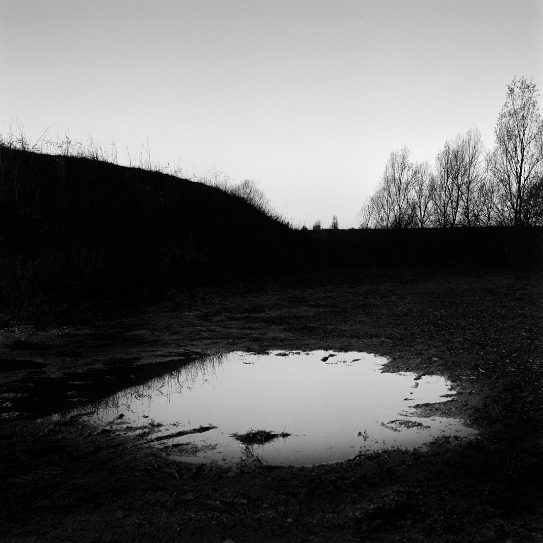Where the Riverbank Weeps