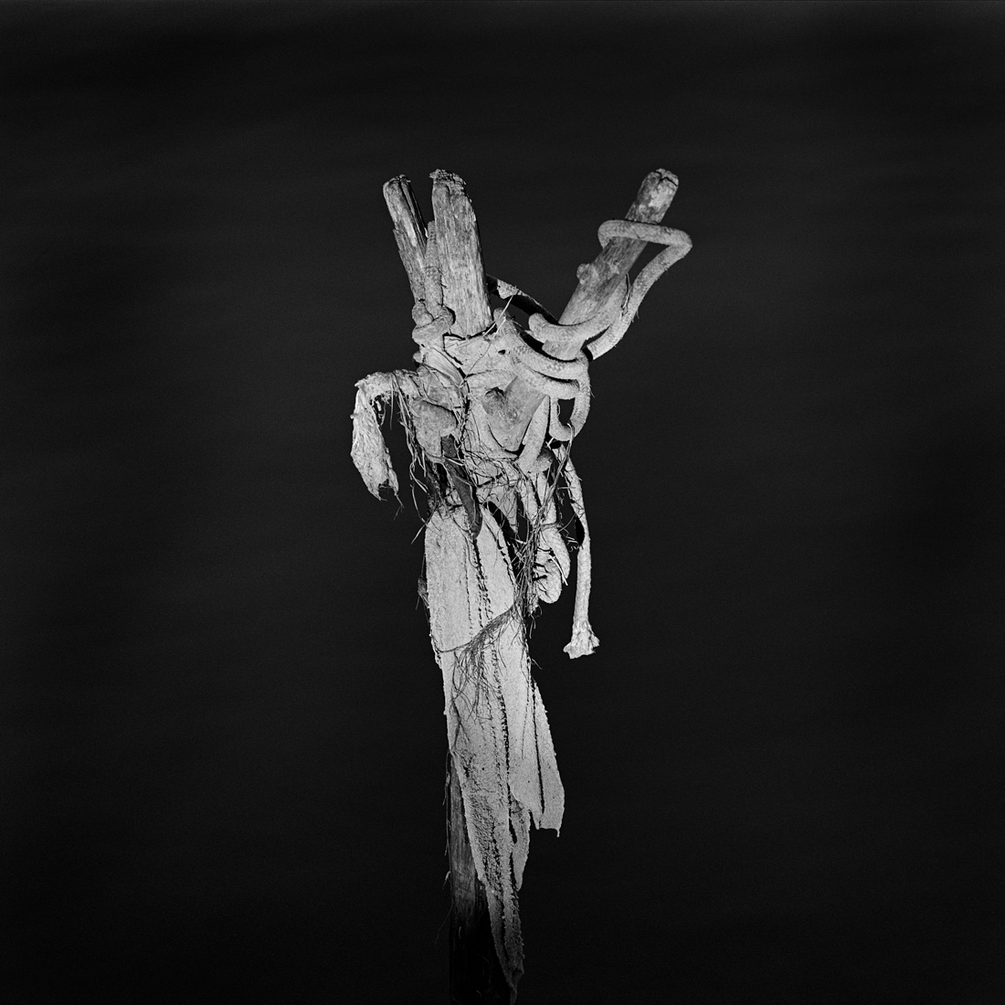 Where the Riverbank Weeps