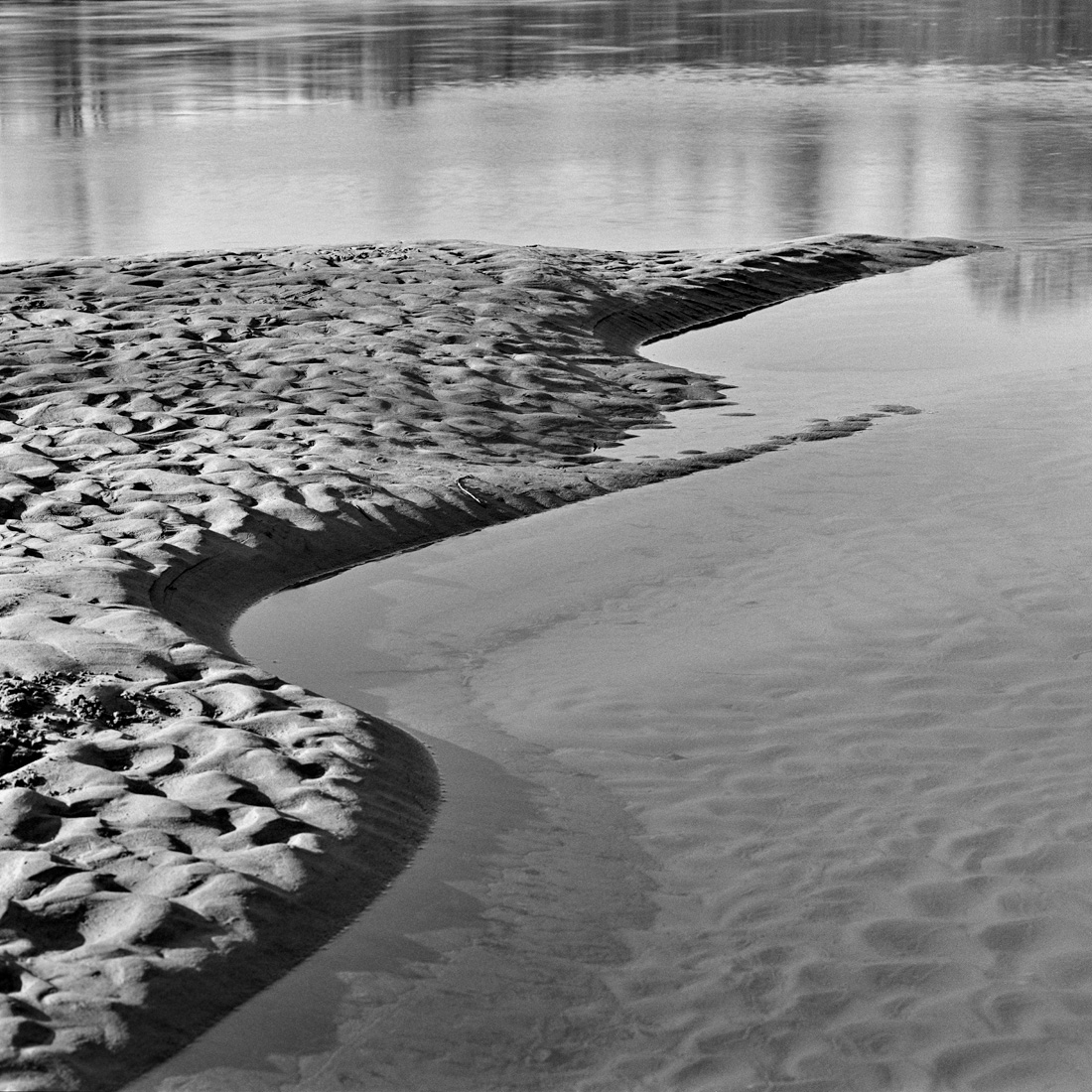 Where the Riverbank Weeps